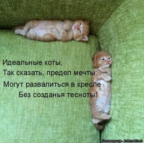 Очередная котоматрица