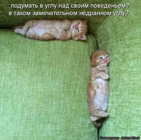 Очередная котоматрица