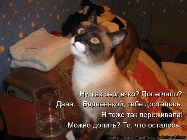 Очередная котоматрица