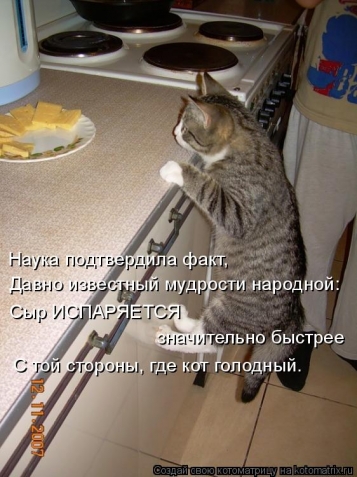 Очередная котоматрица