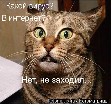 Котоматрица и не только