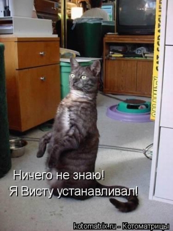 Котоматрица и не только