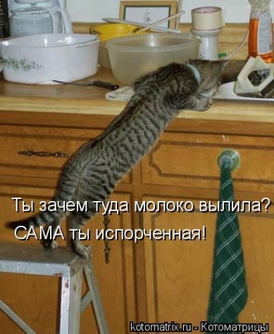 Котоматрица и не только