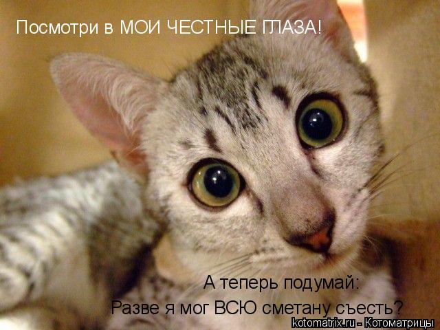 Животные и юмор