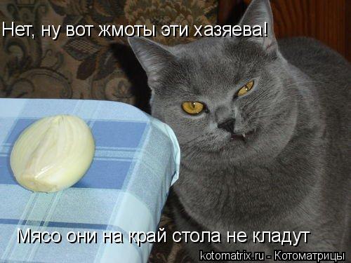 Животные и юмор