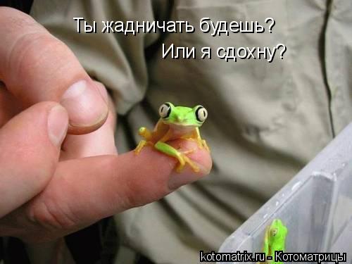 Животные и юмор