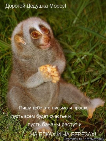 Животные и юмор