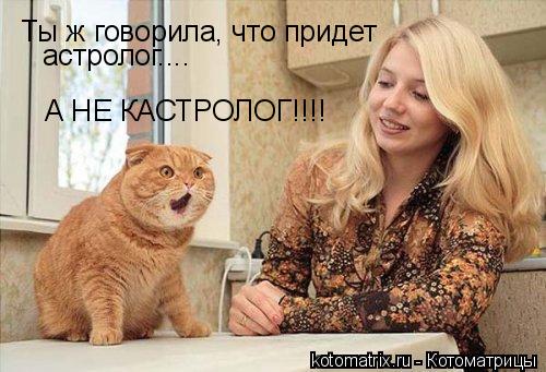 Животные и юмор