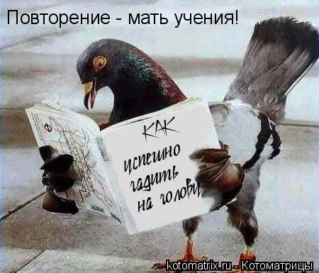 Животные и юмор