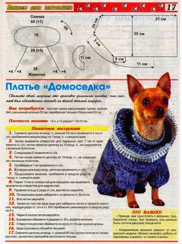Любителям и обладателям собачек, кошечек (все из интернета)