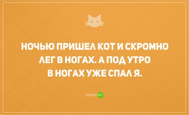 О диете и о котах наших с юмором