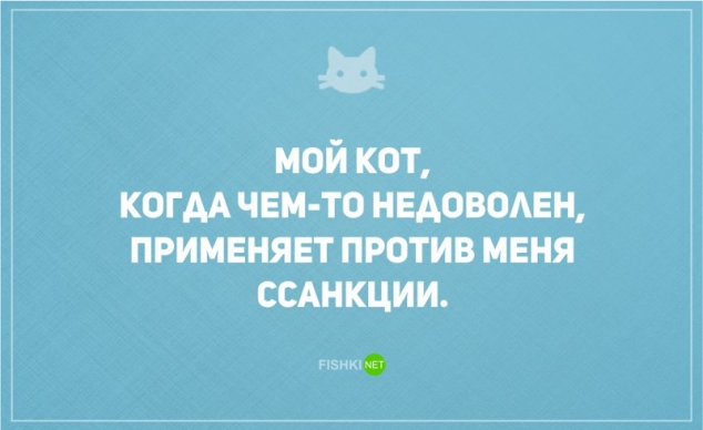 О диете и о котах наших с юмором