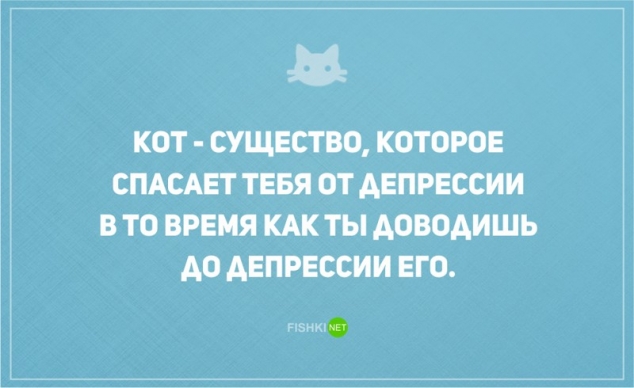 О диете и о котах наших с юмором