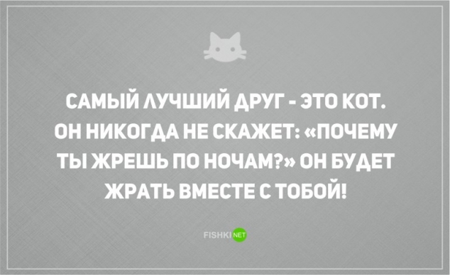 О диете и о котах наших с юмором