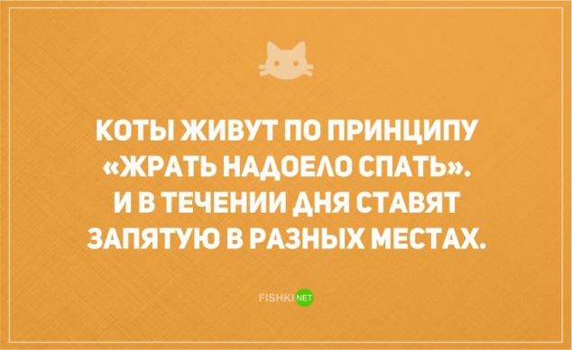 О диете и о котах наших с юмором