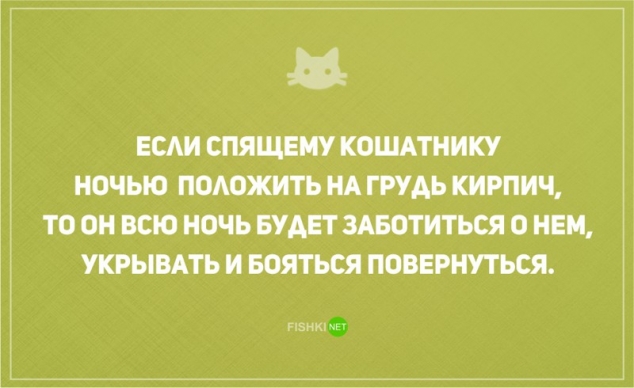 О диете и о котах наших с юмором