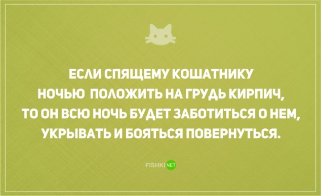 О диете и о котах наших с юмором