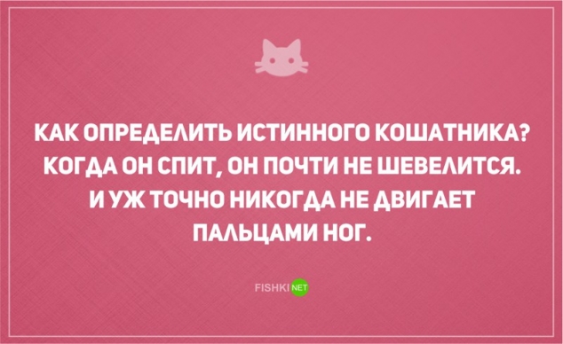 О диете и о котах наших с юмором