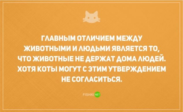 О диете и о котах наших с юмором