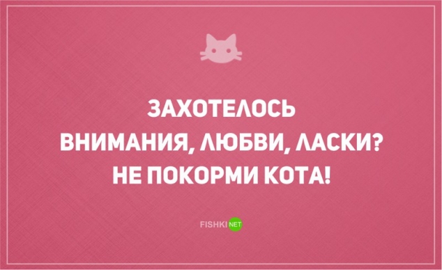 О диете и о котах наших с юмором