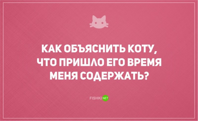 О диете и о котах наших с юмором