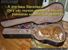 Котоматрица (из интернета)