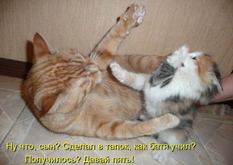 Юмор