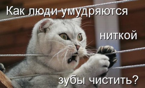 Юмор