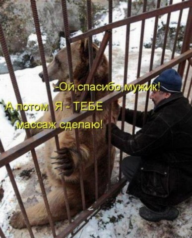 Юмор