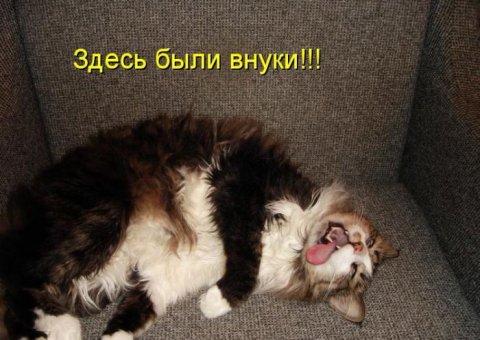 Юмор