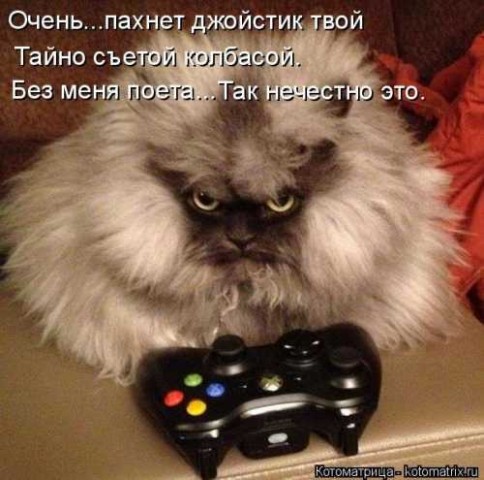 Юмор