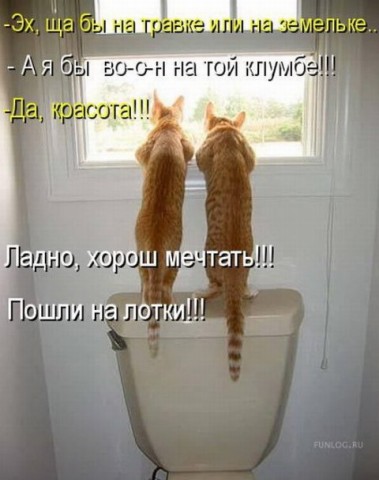 Юмор