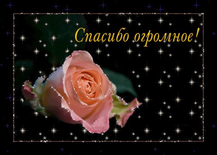 Слова благодарности от меня