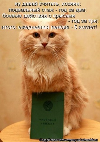 Животные и смешные моменты
