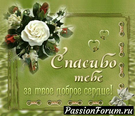 Моя БЛАГОДАРНОСТЬ!