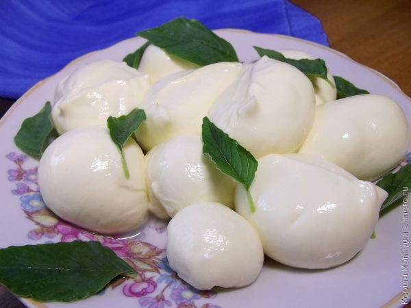 Домашние сыры
