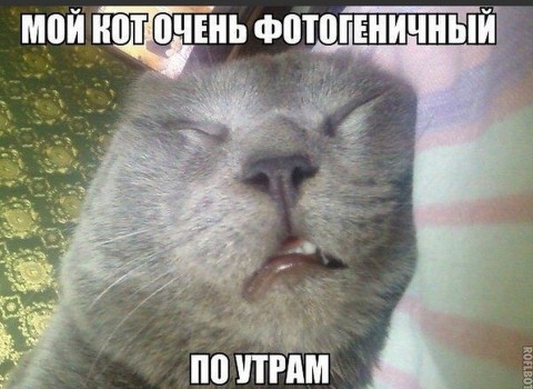 Юмор (из интернета)