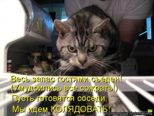 Котоматрица