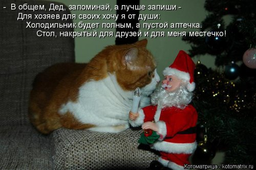 Котоматрица