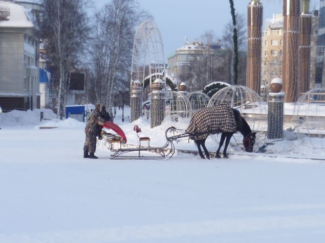 Наш любимый город в ледовых фигурах