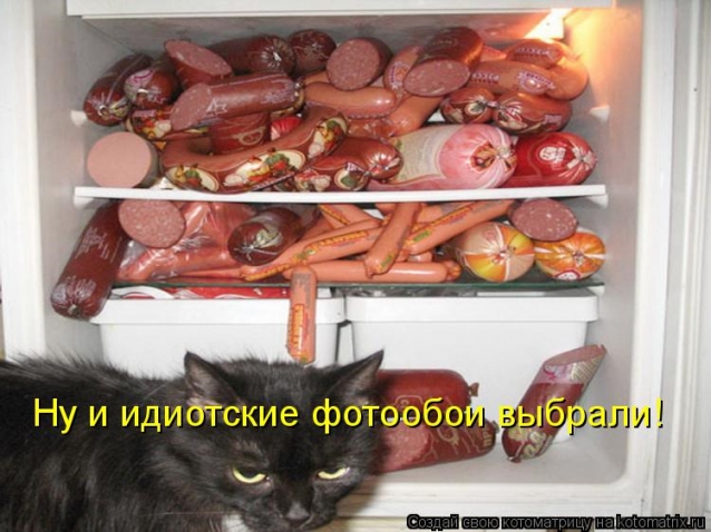 Юмор+котоматрица