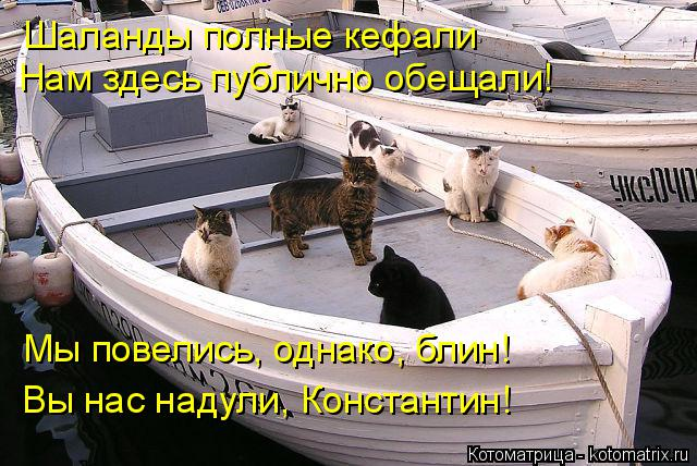 Юмор+котоматрица