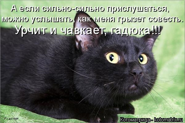 Юмор+котоматрица