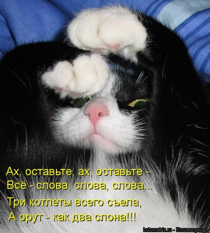 Юмор+котоматрица