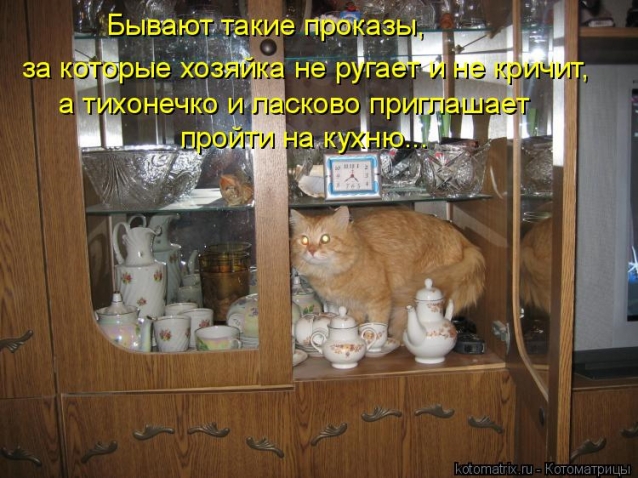 Юмор+котоматрица