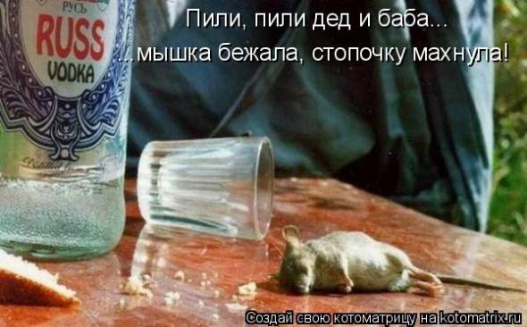 Очередная порция юмора и смеха