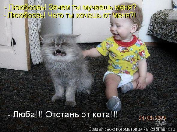 Очередная порция юмора и смеха
