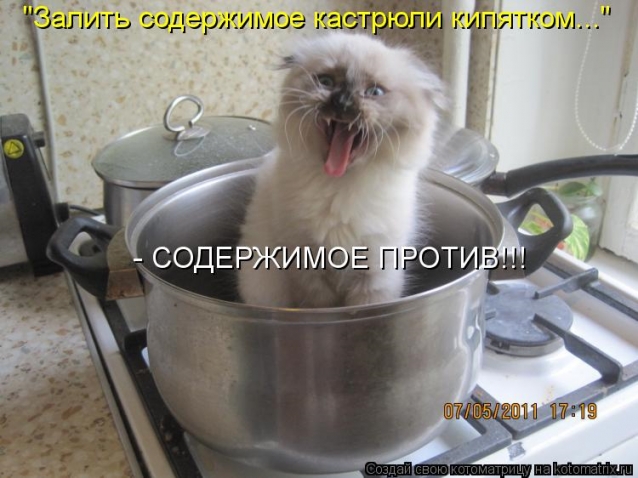 Юмор, позитифффчик на сон грядущий