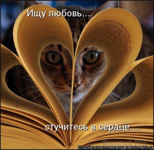 Юмор, позитифффчик на сон грядущий