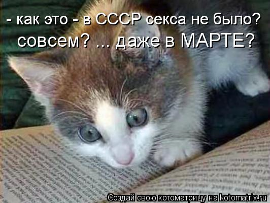 Юмор, позитифффчик на сон грядущий